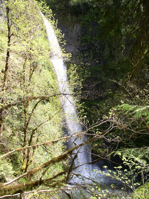 5.5.06 Eagle Creek 093 